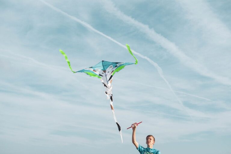 Kite Flying Tips: How to Safeguard Your Kite While Others Are Having Fun