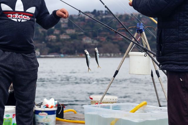 Trout Fishing: Ways To Catch More Trout On Your Next Trip