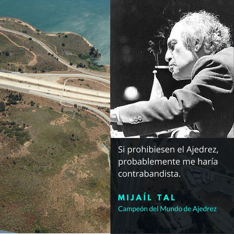 Si Prohibiesen el Ajedrez, Probablemente me Haría Contrabandista 5 Si Prohibiesen el Ajedrez, Probablemente me Haría Contrabandista