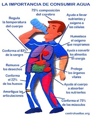Consumir mucha agua beber agua