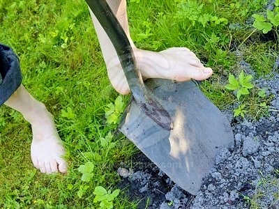 Una mujer georgiana deja sin Internet a toda Armenia 5 Una mujer georgiana deja sin Internet a toda Armenia