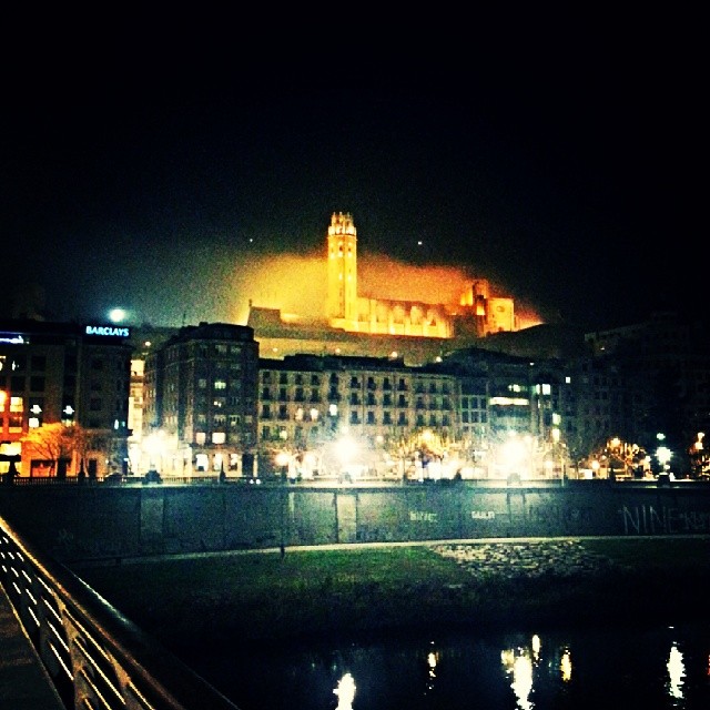 Seu Vella de Lleida de nit