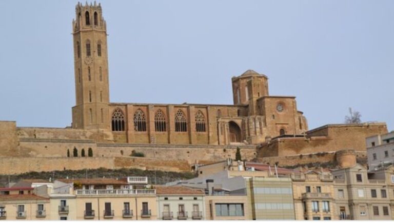 Seu Vella de Lleida de nit