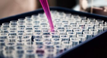 Synlab Resultados: Cómo consultar sus análisis clínicos paso a paso