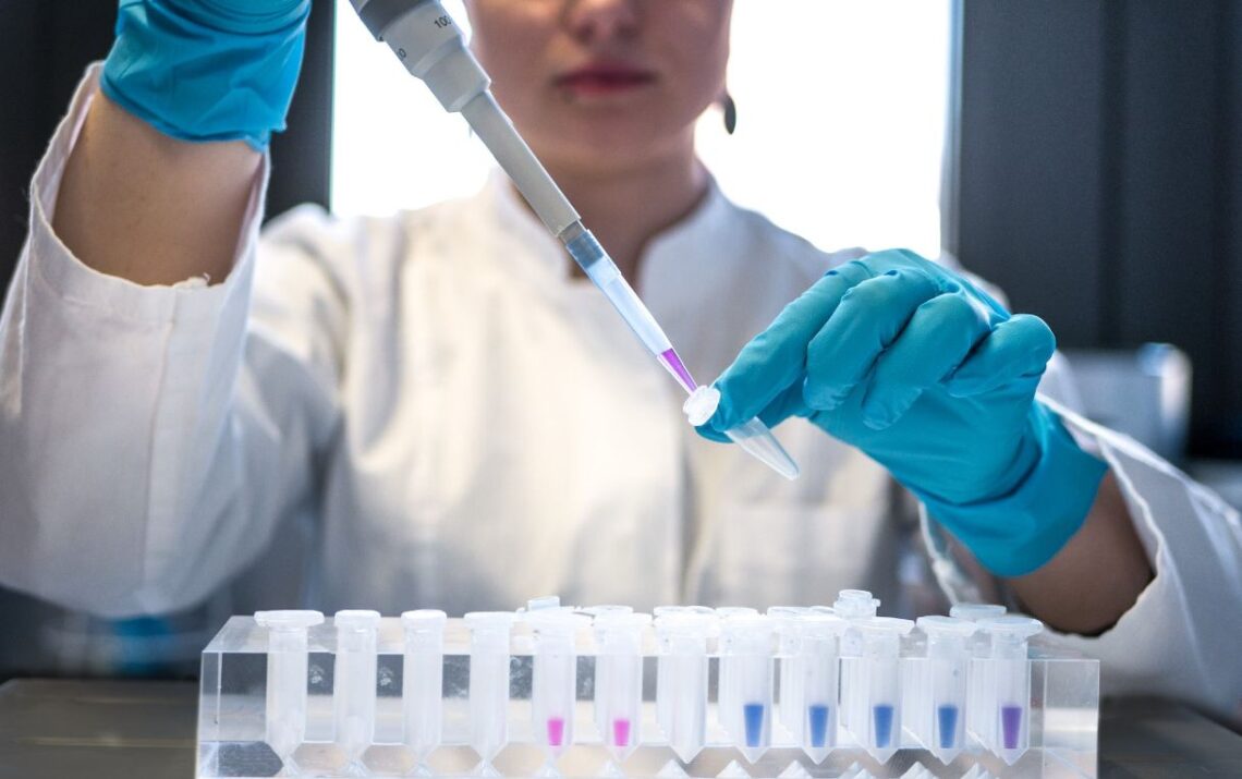 Vithas Lab Resultados: Consulta tus análisis clínicos en línea de manera rápida y sencilla