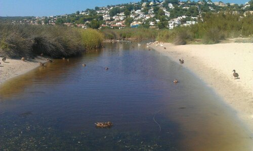 Platja de Son Bou 1